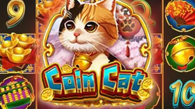 coin cat